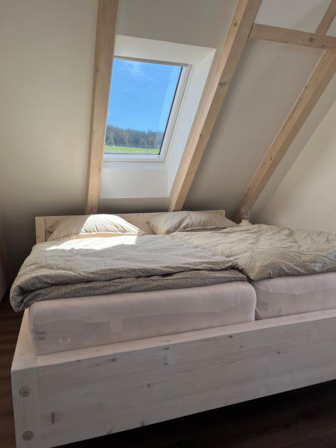 U Kralika, Apartman H, 3 Samostatne Loznice - Mezonet, Vlastni Parkovani, 50 Metru Od Vleku , Vysousece Bot V Lyzarne Dolní Morava Exterior photo