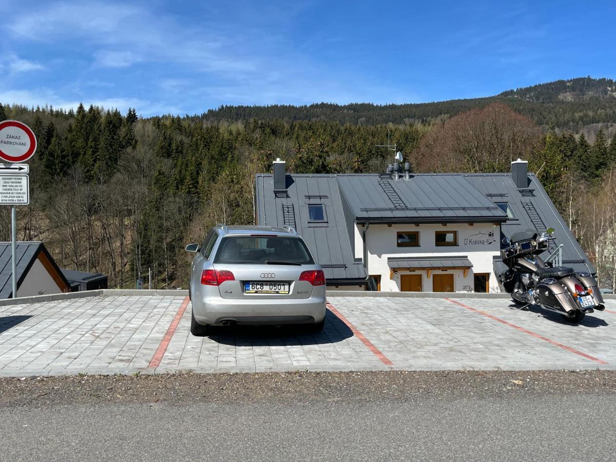 U Kralika, Apartman H, 3 Samostatne Loznice - Mezonet, Vlastni Parkovani, 50 Metru Od Vleku , Vysousece Bot V Lyzarne Dolní Morava Exterior photo